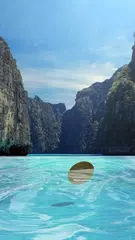 download Wish Coin APK