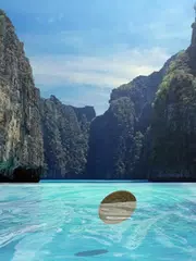 download Wish Coin APK