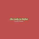 She Looks So Perfect Lyrics APK