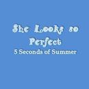5 Seconds of Summer She Looks APK