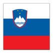 Beginner Slovenian