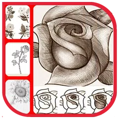 畫花教程 APK 下載