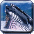 Blue Whale Photo Frame Zeichen