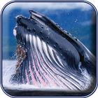 Blue Whale Photo Frame icon