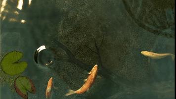 3D Koi Pond screenshot 2