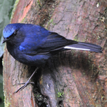 加減乘除心算練習BasicCalculate