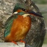 個人理財小幫手PersonalEconomic