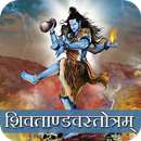 Shiv Tandav Stotram with Audio APK