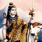 Hindi - Shiv Chalisa icon