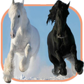 Horse Jigsaw