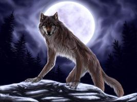 Werewolf Jigsaw screenshot 3