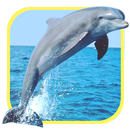 Oceans Elf: Dolphins APK