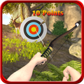 ”Ultimate Archer