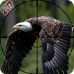 ”Eagle Bird Hunting Season 2017