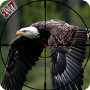 Eagle Bird Hunting Season 2017 APK