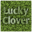 Find Lucky Clover