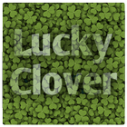 Find Lucky Clover 圖標