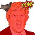 Shoe Trump