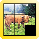 Slidy: Sliding Puzzle APK