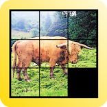 Slidy: Sliding Puzzle