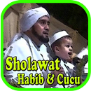 Sholawat Habib-Syech dan Cucu APK