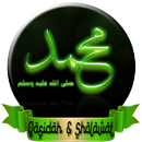 Qasidah & Sholawat Mp3 APK