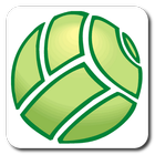 Volleyball Game Log icône
