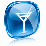 Party Diary & Journal