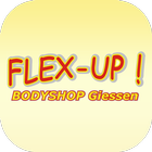 Flex-Up.de icon