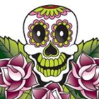 Day of the Dead Jewelry أيقونة