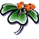 Herbosus Onlineshop APK