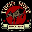 Lucky Mule