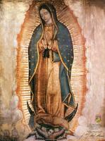 La Rosa de Guadalupe پوسٹر