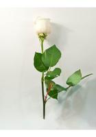 La Rosa de Guadalupe Ekran Görüntüsü 1