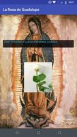 La Rosa de Guadalupe скриншот 2