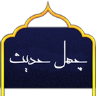 forty hadith shia icon