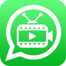 short videos whatsapp aplikacja