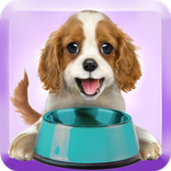 Feed A Puppy