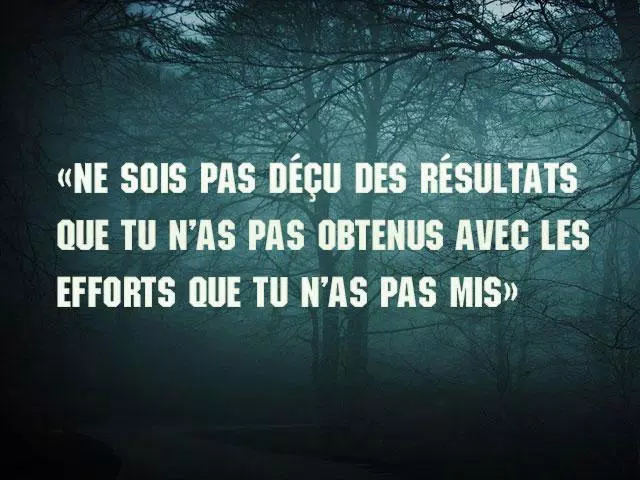 Proverbe Et Citation Apk For Android Download