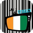 Télévision en Irlande
