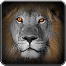 hunt lion: save prey APK