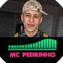 MC Pedrinho Musica & Letras APK