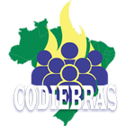 Codiebras icône