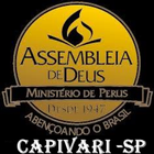 Ad Perus Capivari icône