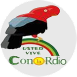 Radio Coroico 90 Fm