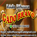 Rádio Difusora Gado Bravo PB-APK