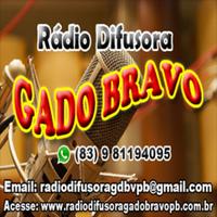 Poster Rádio Difusora Gado Bravo PB