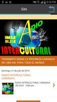 Radio Intercultural Caranavi imagem de tela 3