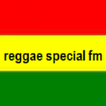 REGGAE SPECIAL FM