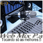 Icona WEB MIX PA